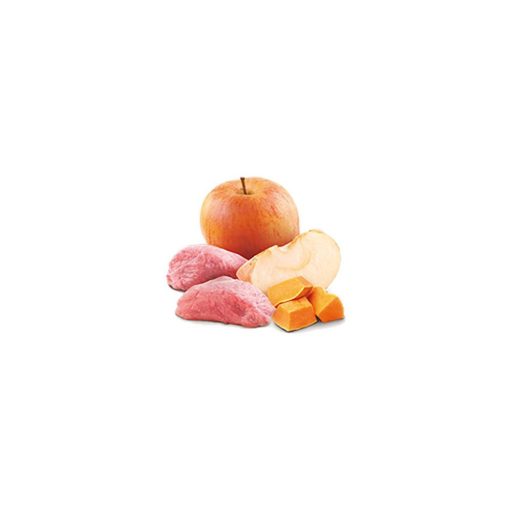 N&D Dog Vaddisznó és Alma sütőtökkel 285g