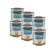 Farmina Vet Life Dog Diabetic 300g