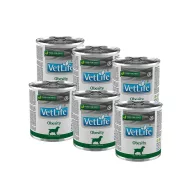Farmina Vet Life Dog Obesity 300g
