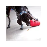KONG Wobbler S