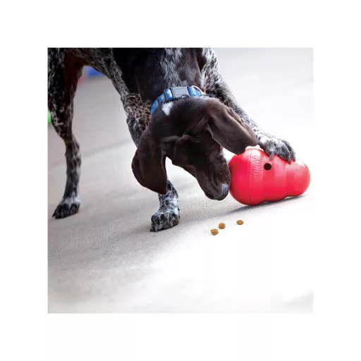 KONG Wobbler S