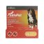 SafePet kutya XL 40-55kg