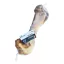 Whizzopet Strucc combcsont 1db
