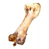 Whizzopet Strucc combcsont 1db