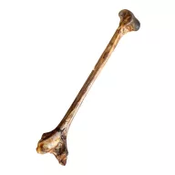 Whizzopet Strucc velős lábszárcsont egész 1db