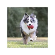 KONG Classic Harang S