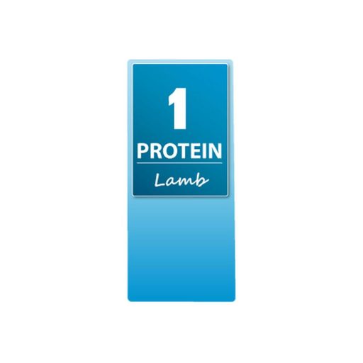 TROVET HYPOALLERGENIC LAMB (LRD) 400 g