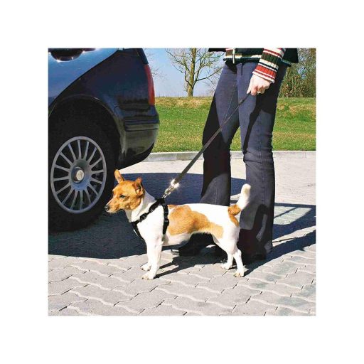 Biztonsági Öv Hámmal