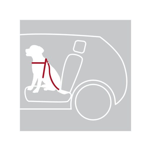 Biztonsági Öv Hámmal