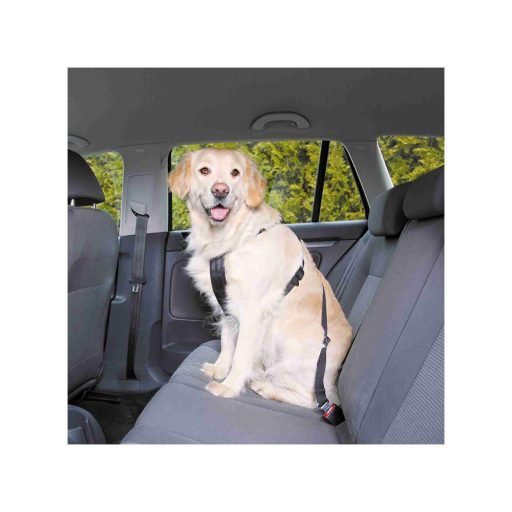 Biztonsági Öv Hámmal