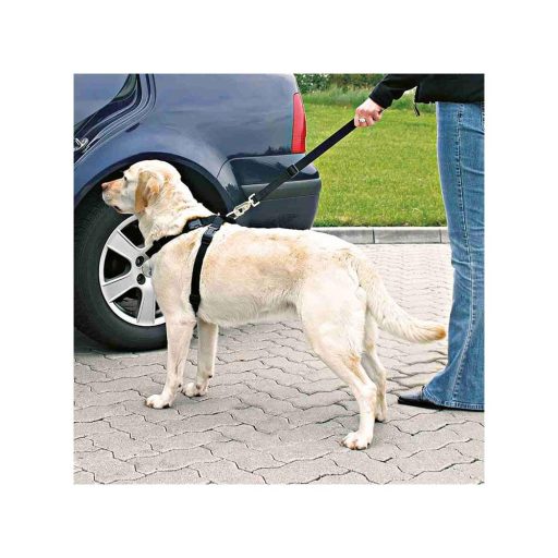 Biztonsági Öv Hámmal