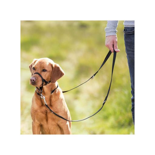 Top Trainer Hám L-XL, 37cm