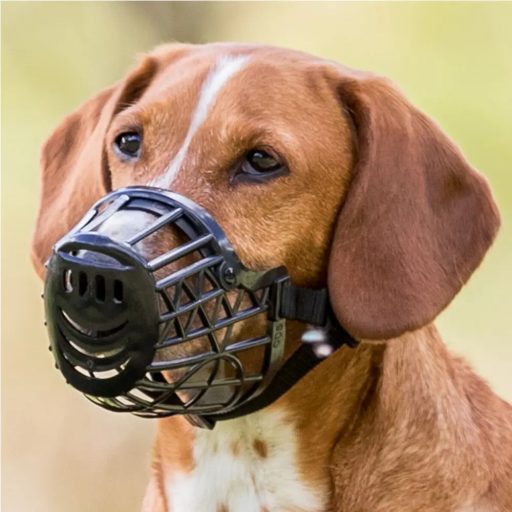 Szájkosár - műanyag