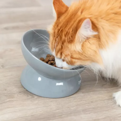 Ergonomikus Kerámia tál Macskának XXL 0.35L/17cm szürke