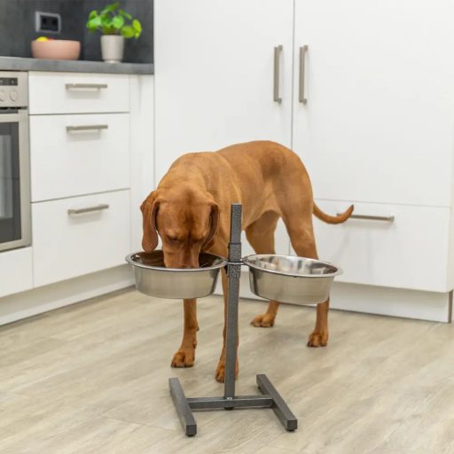 Tál Fém Állványon Kutyának 2 x 2,8l