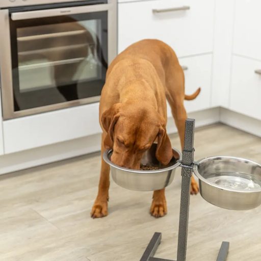 Tál Fém Állványon Kutyának 2 x 2,8l