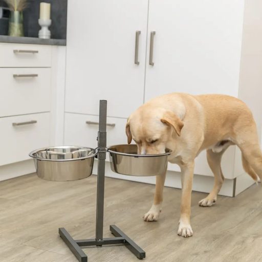 Tál Fém Állványon Kutyának 2 x 4,5l