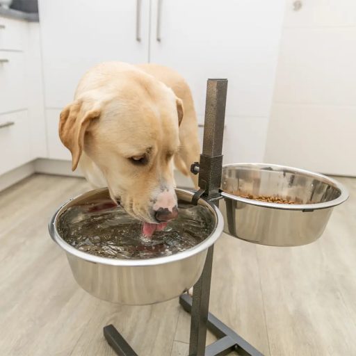 Tál Fém Állványon Kutyának 2 x 4,5l