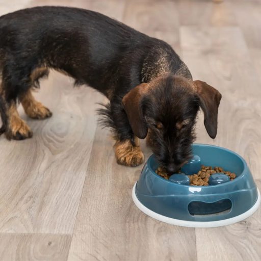 Evéslassító tál 1,5 l/27 cm