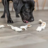 Trixie nyúlfül szőrrel 1db