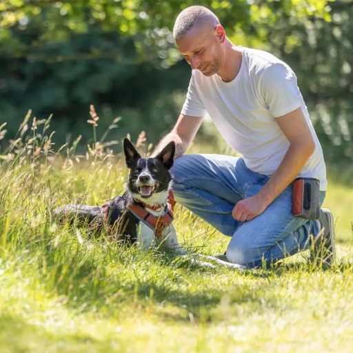 Jutalomfalat tartó 2 in 1
