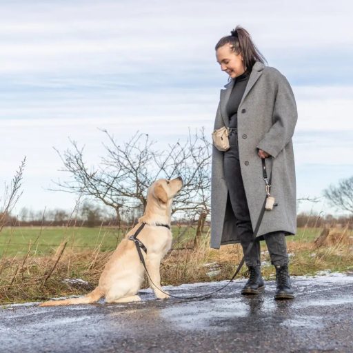 Jutalomfalat tartó velúr