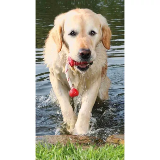 Tömör Gumi Harang Kötéllel 9cm