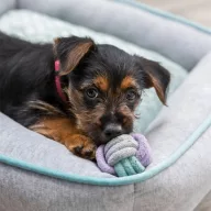 Trixie Junior Labda kötélből 6cm