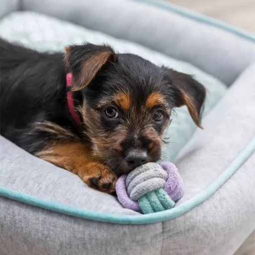 Trixie Junior Súlyzó kötélből 15cm