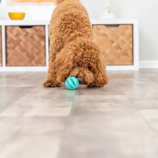 Mentás baseball labda, 6cm