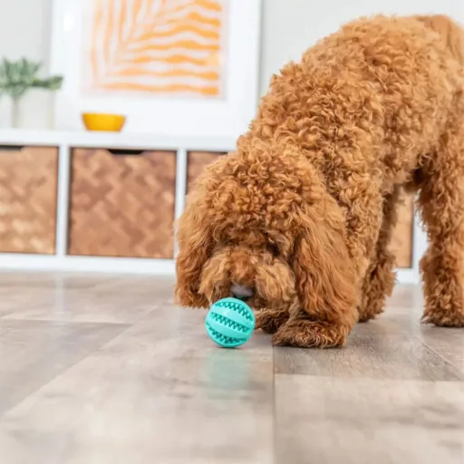 Mentás baseball labda, 6cm