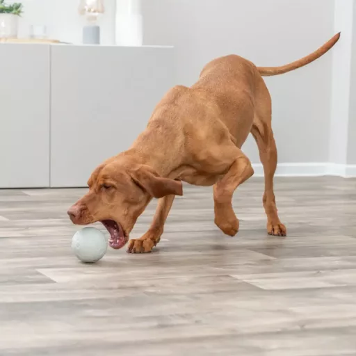 Snack Labda 9 cm