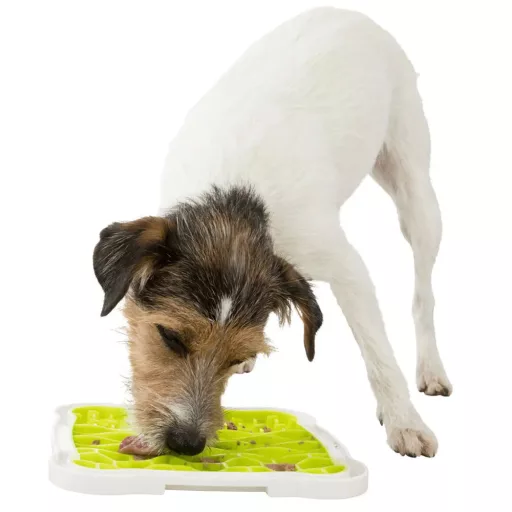 Trixie Lick'n'Snack Licking Plate 20x20cm