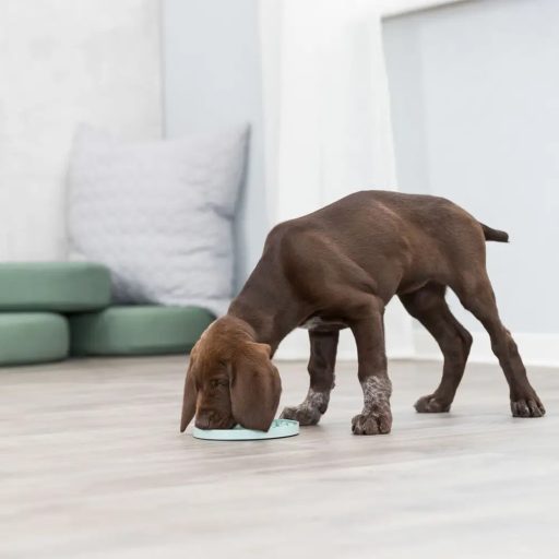 Trixie Junior Licking Plate 15cm