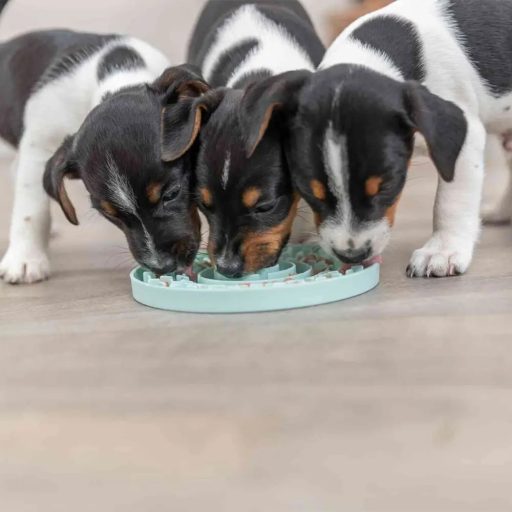 Trixie Junior Licking Plate 15cm