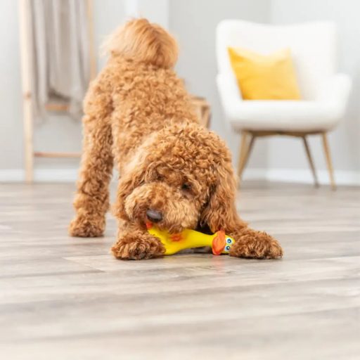 Kacsa eredeti hanggal, 18 cm