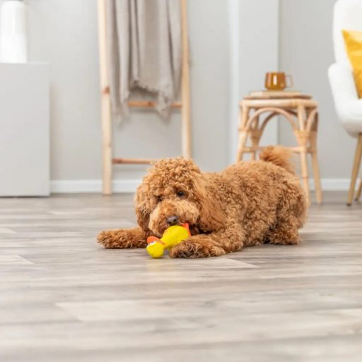 Kacsa eredeti hanggal, 18 cm