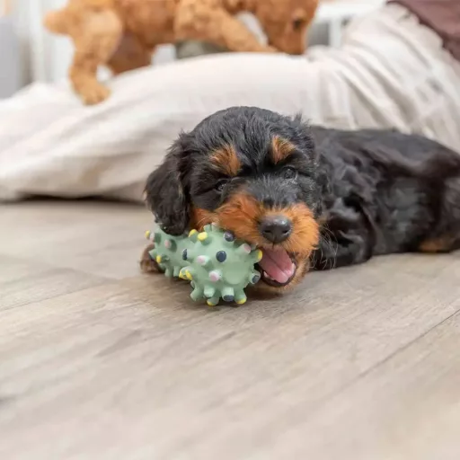 Trixie mini tüskés apport