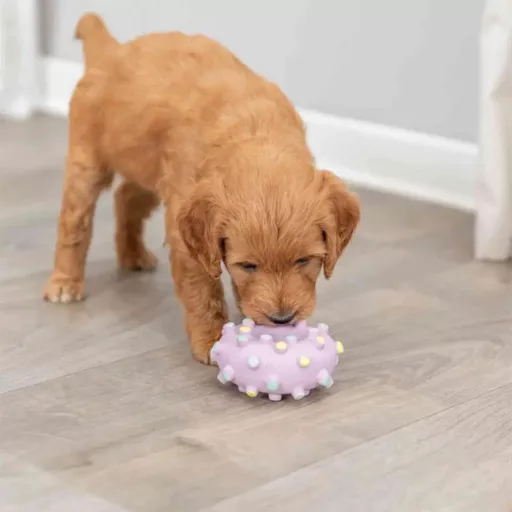 Trixie Tüskés karika 8cm