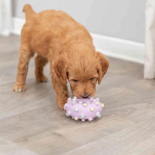 Trixie Tüskés karika 8cm