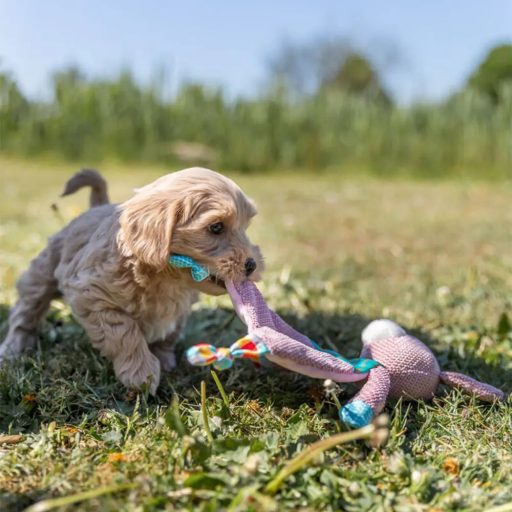 Junior Szövet Nyúl 28cm