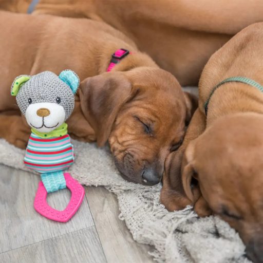 Junior Szövet Medve Karikával 23cm