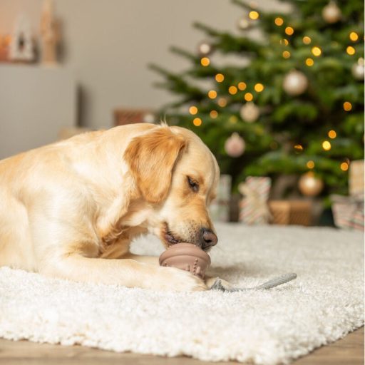 Trixie Karácsonyi csengő kötélen, természetes gumi/kötél, 12/36 cm, bézs