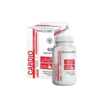 Szív- és érrendszer